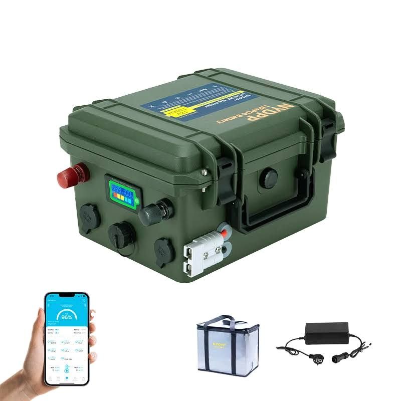Batterie LiFePO4 12V 120AH 100AH 80AH 60AH, Batterie Lifepo4 120ah, 100ah, 80ah, Batterie Lithium Fer Phosphate 12v - Aliexpress(Vert)